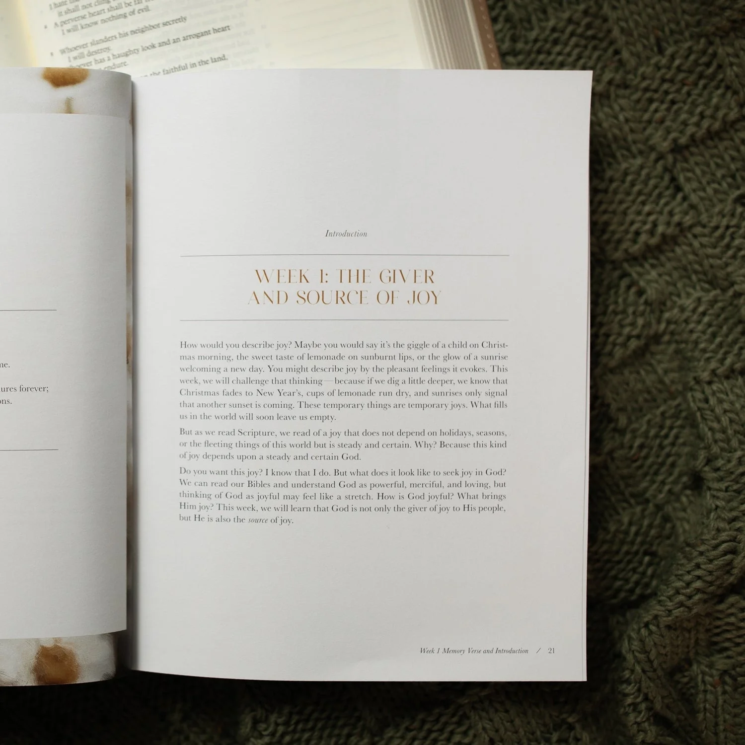 A Joy That Endures Devotional | How Jesus Is the Source of Unshakable Joy - Image 2