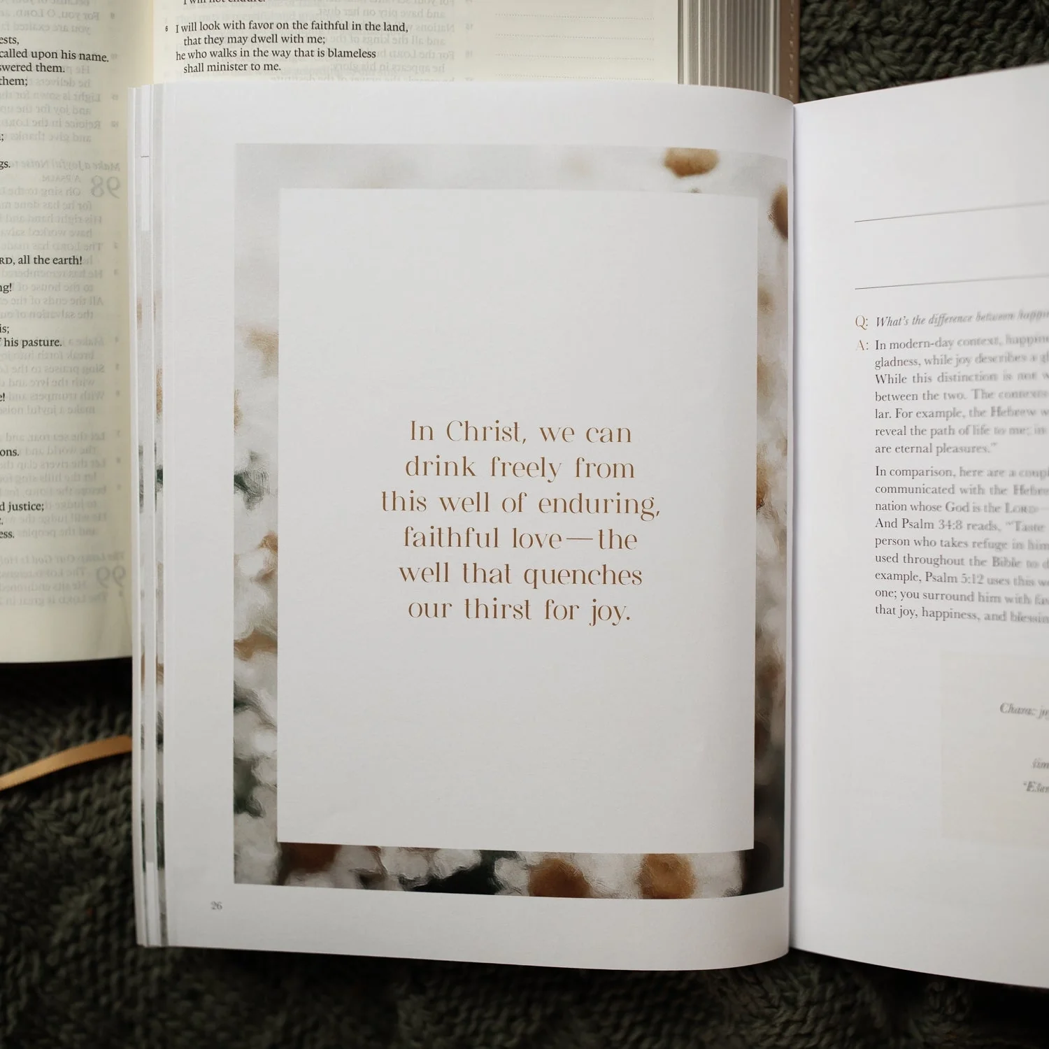 A Joy That Endures Devotional | How Jesus Is the Source of Unshakable Joy - Image 3