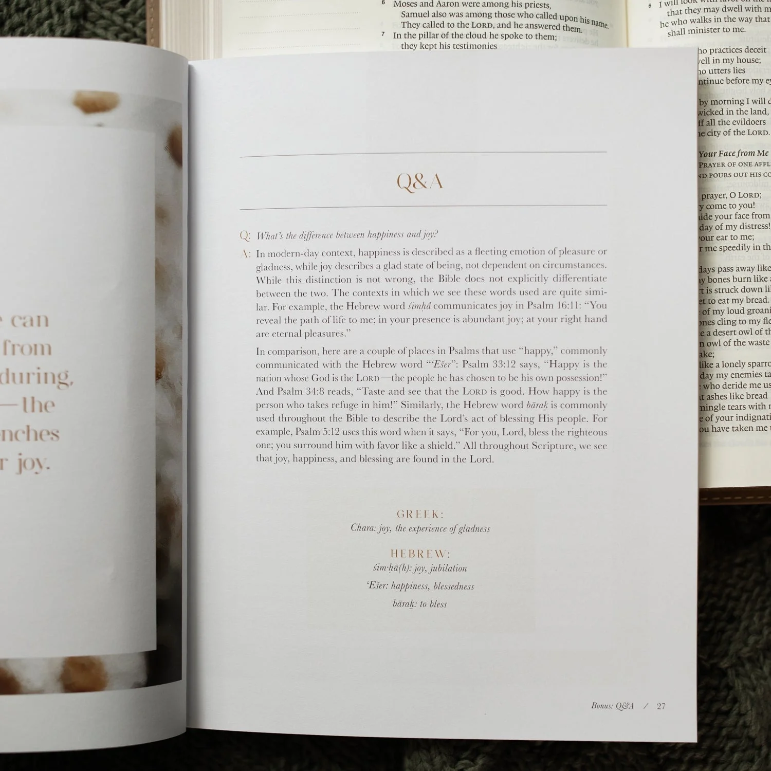 A Joy That Endures Devotional | How Jesus Is the Source of Unshakable Joy - Image 5