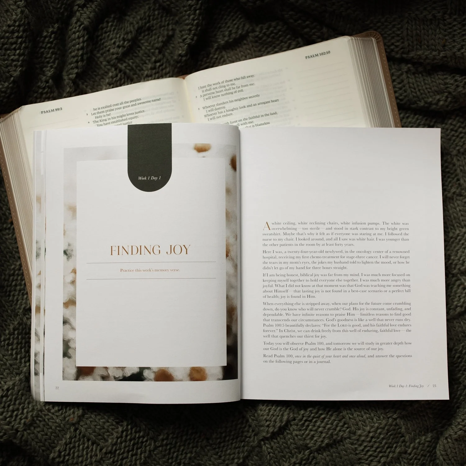A Joy That Endures Devotional | How Jesus Is the Source of Unshakable Joy - Image 6