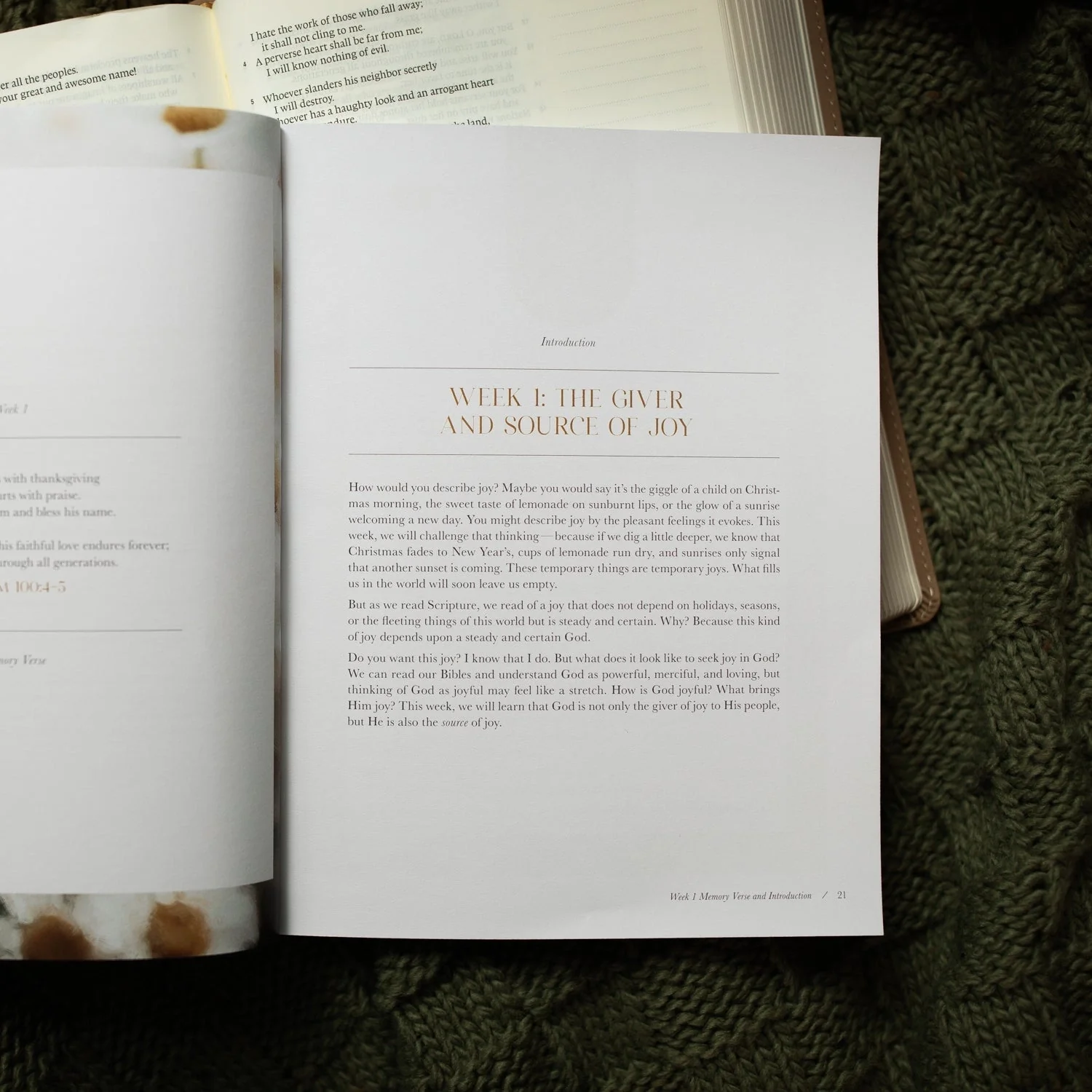 A Joy That Endures Devotional | How Jesus Is the Source of Unshakable Joy - Image 7