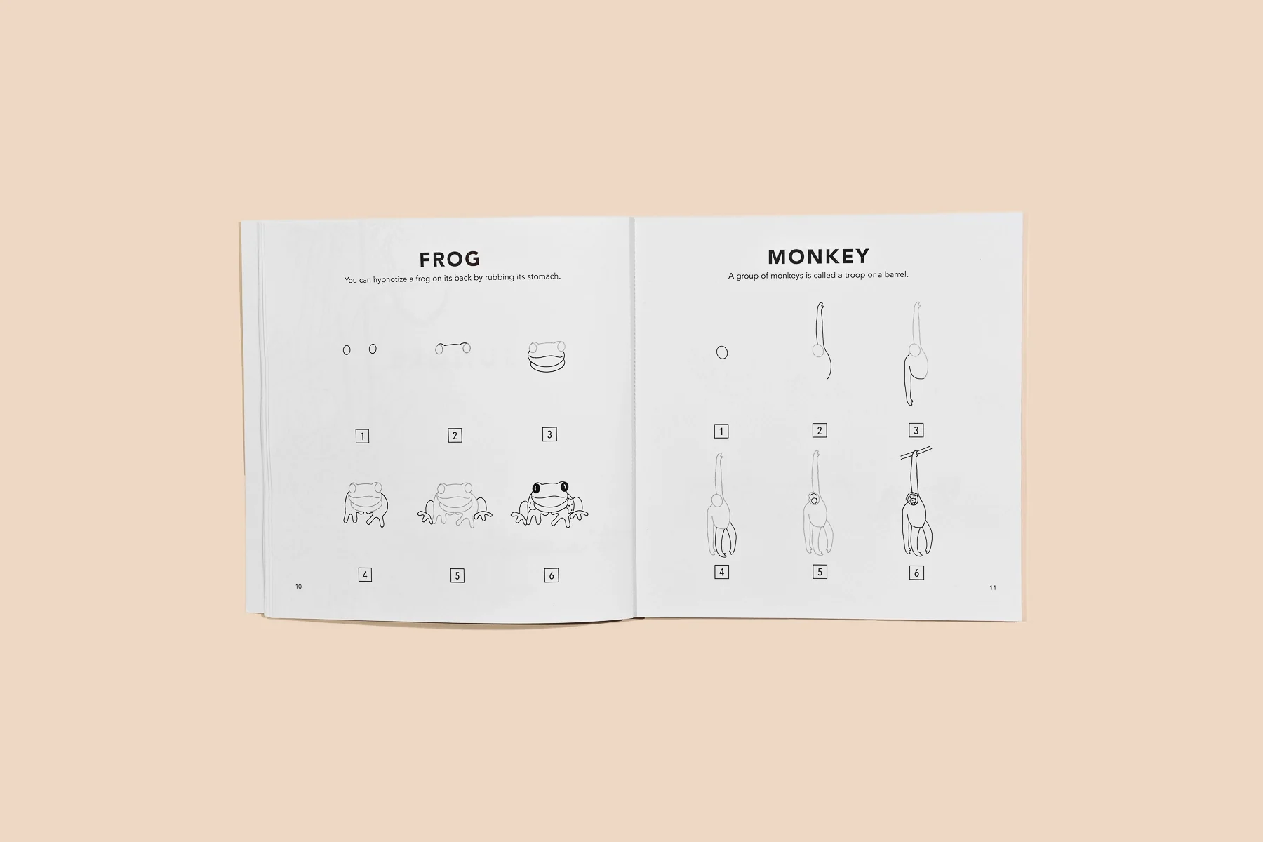 All the Animals: A How To Draw Art Book For Kids - Image 2