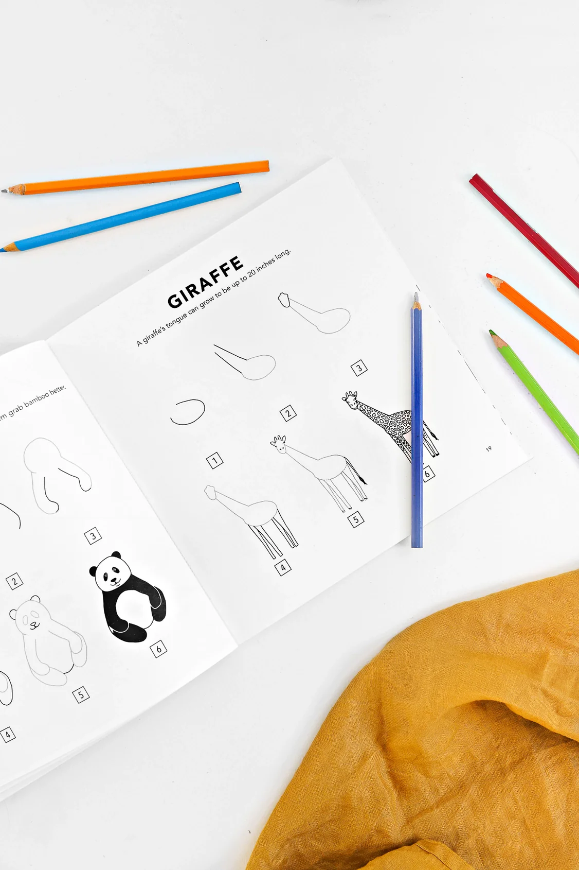 All the Animals: A How To Draw Art Book For Kids - Image 4