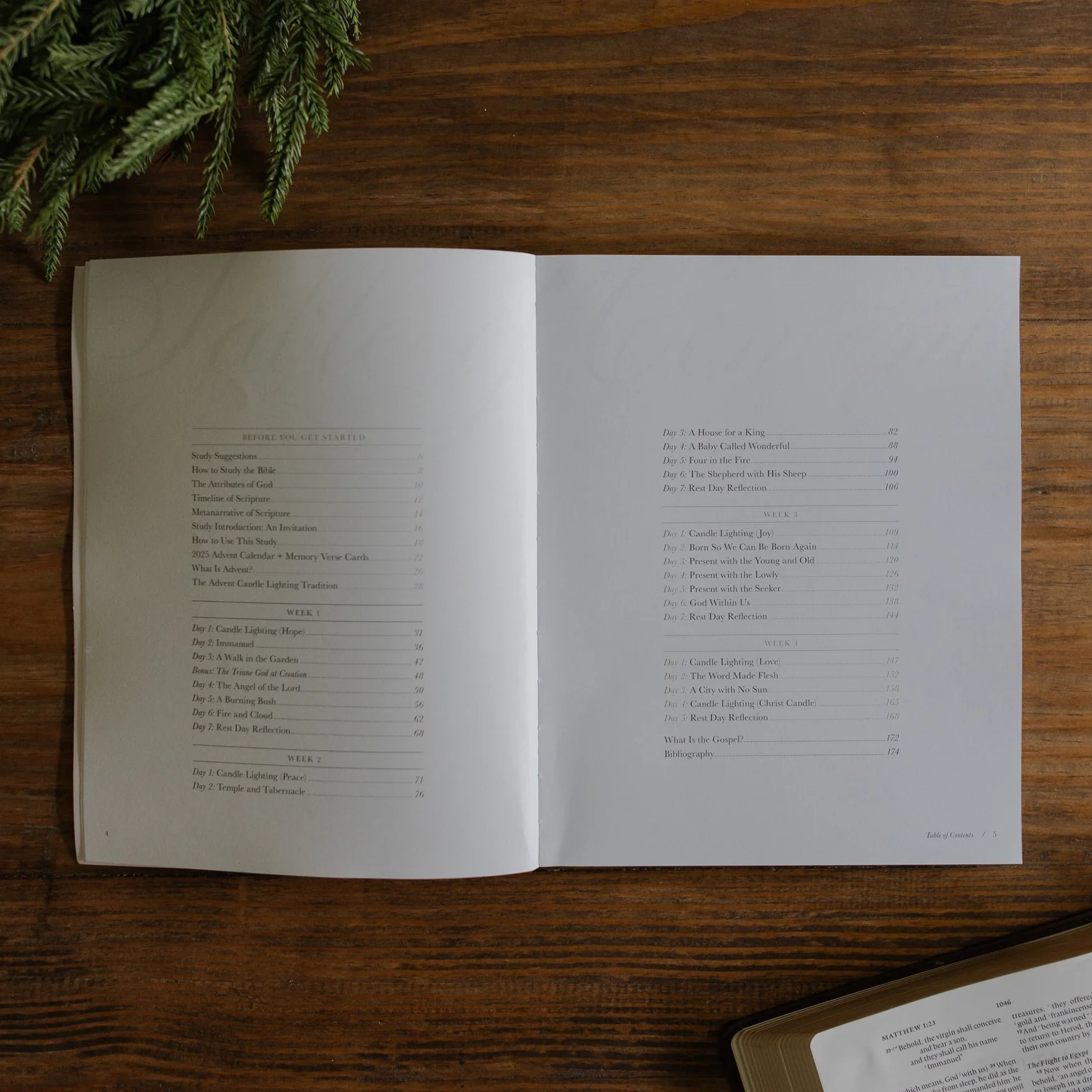 Awakening Wonder Devotional | 2025 Advent Study - Image 8
