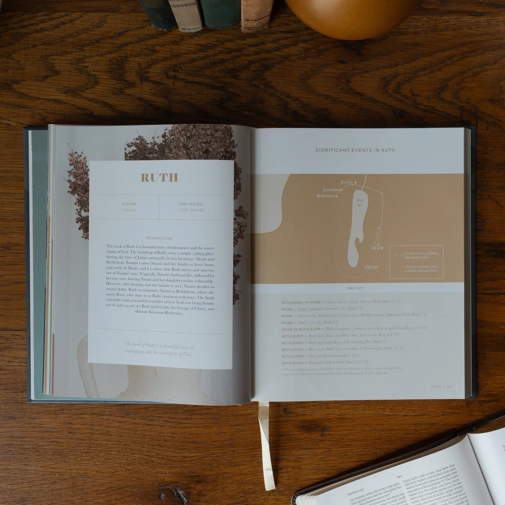 Bible Maps Handbook - Image 7