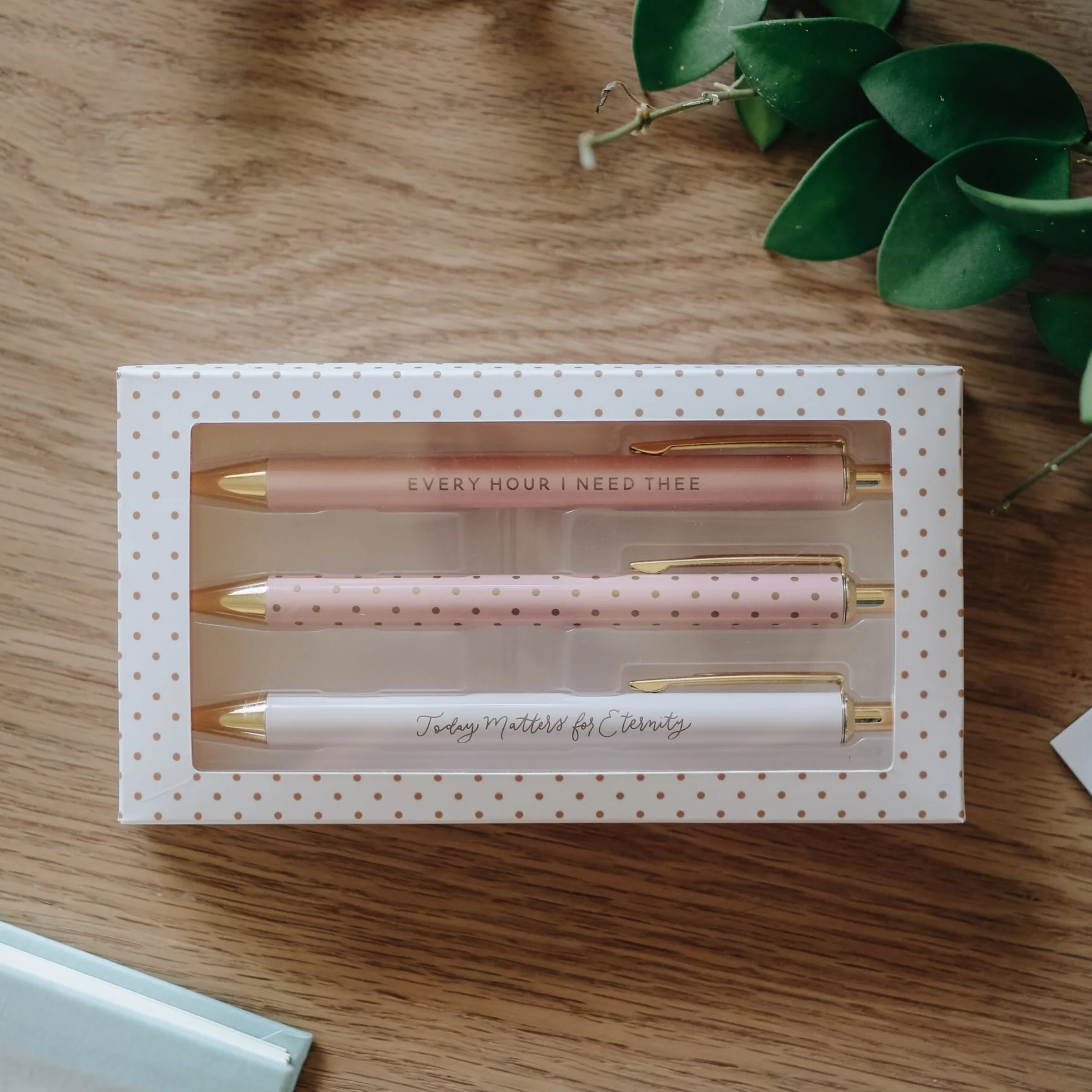 Blush Pen Set - Image 2