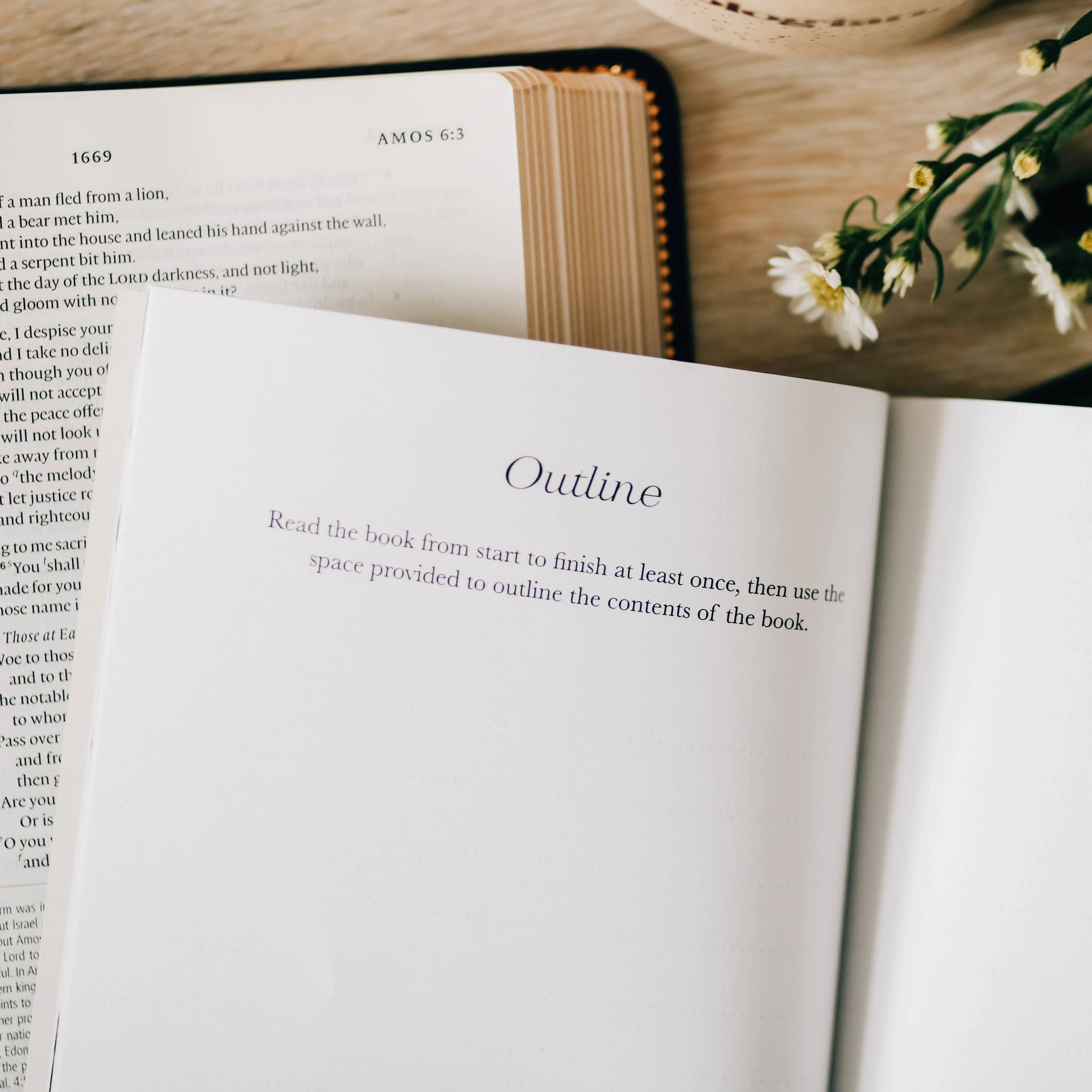 Book by Book: Bible Study - Image 3