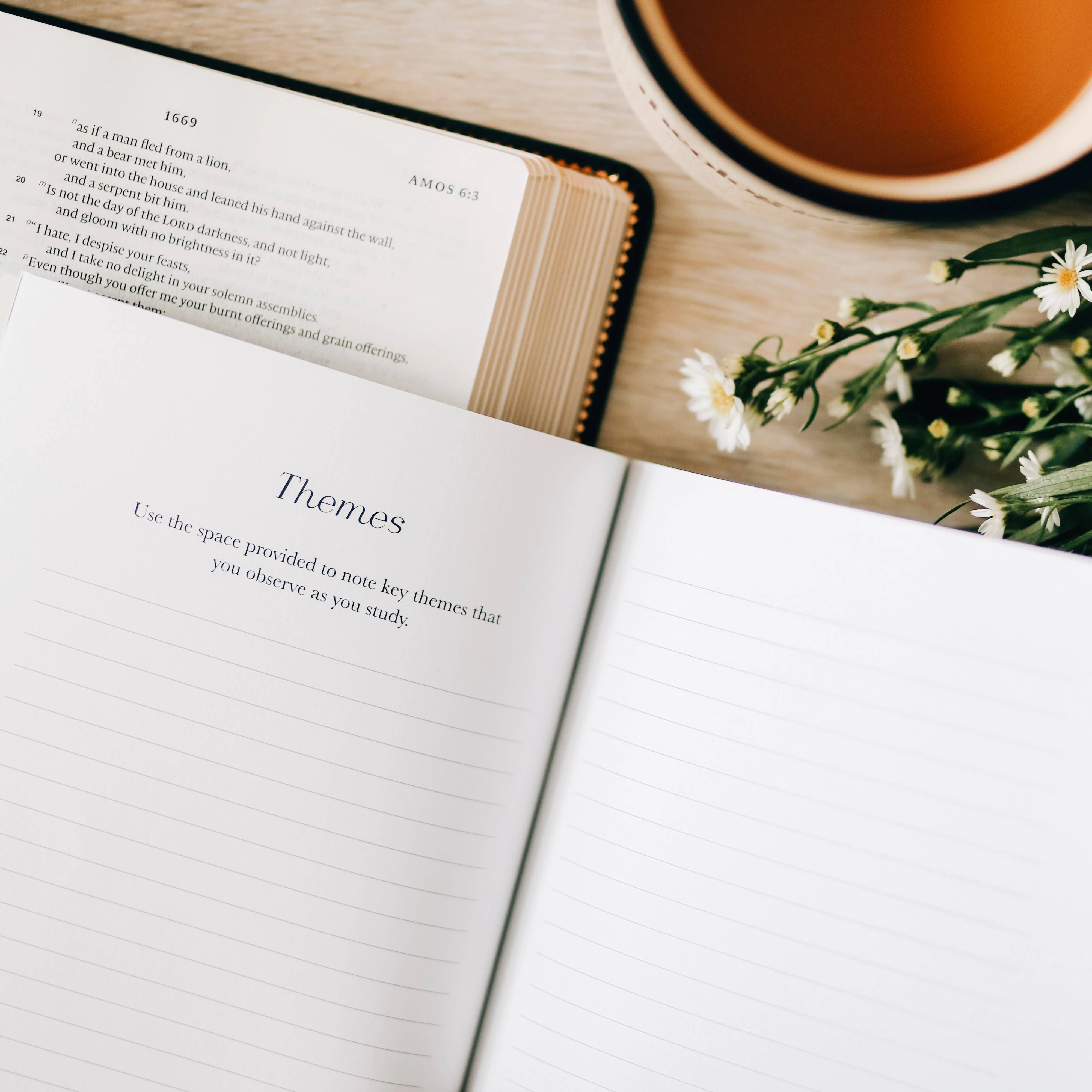 Book by Book: Bible Study - Image 5