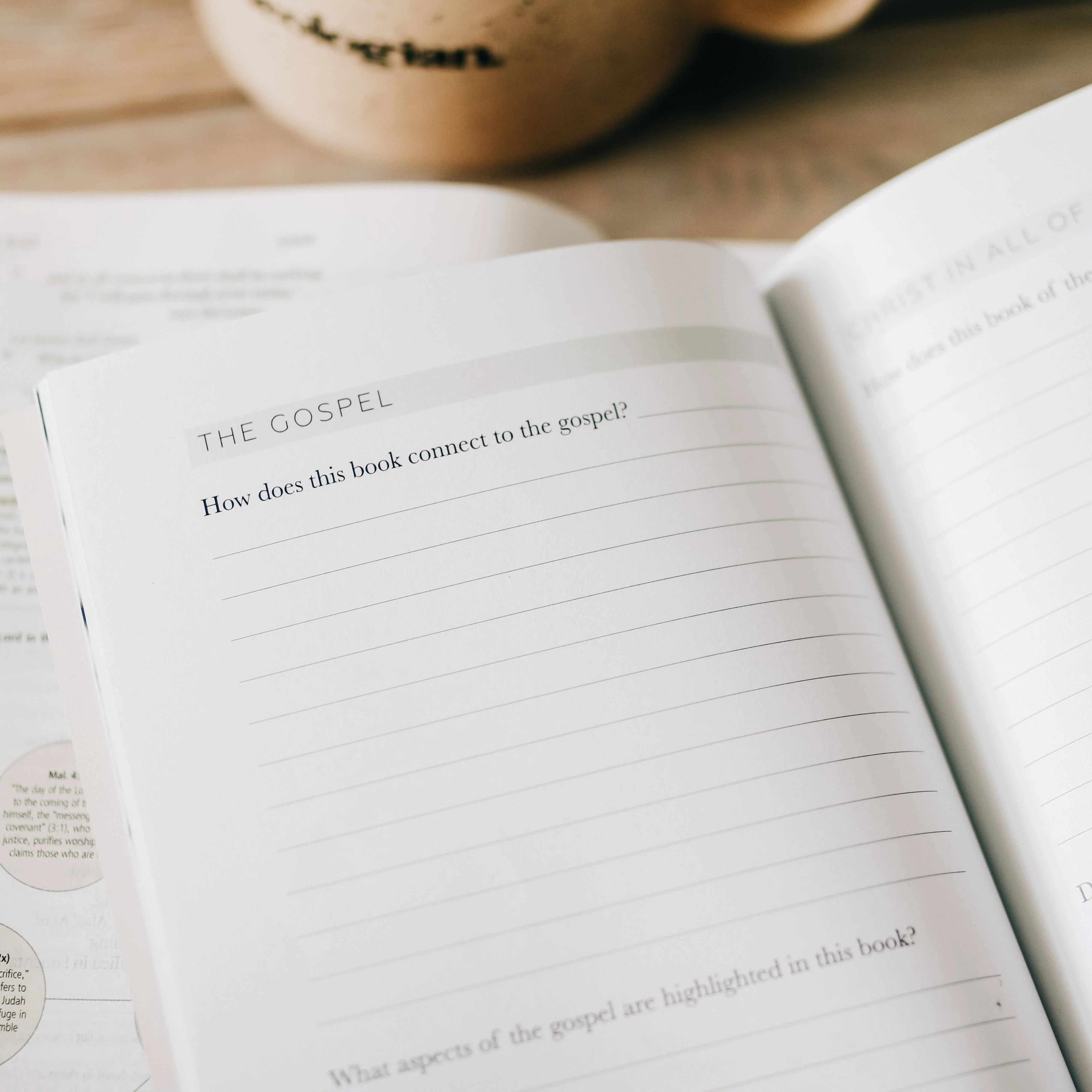 Book by Book: Bible Study - Image 6