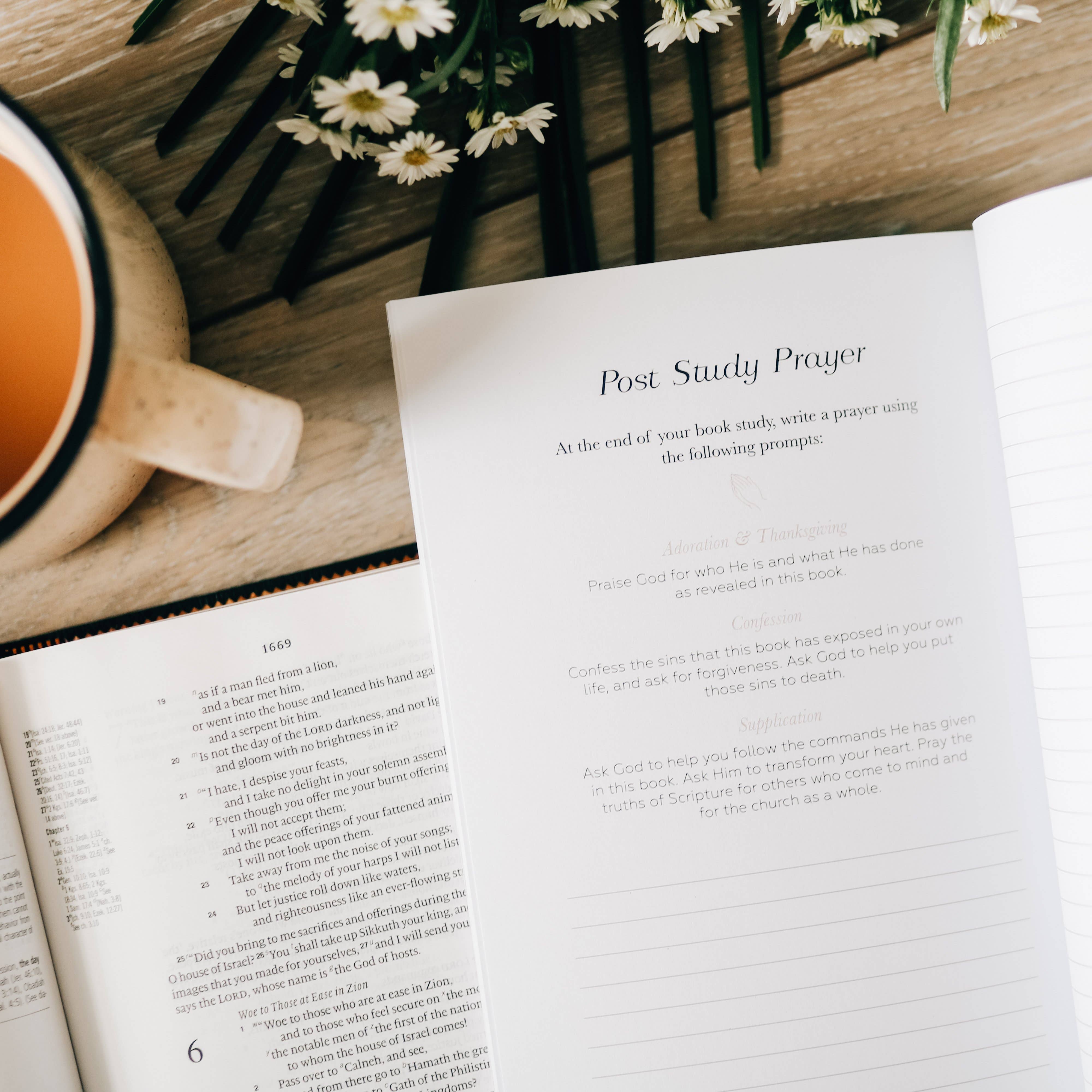 Book by Book: Bible Study - Image 7