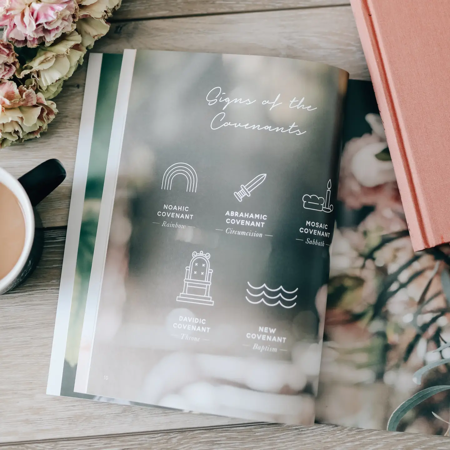 Faithful | Bible Study On the Covenants - Image 3