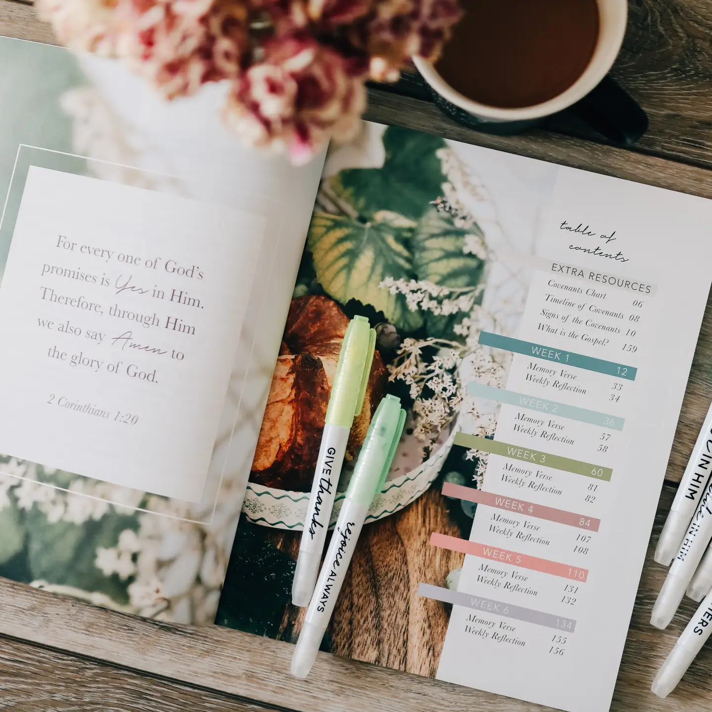 Faithful | Bible Study On the Covenants - Image 5
