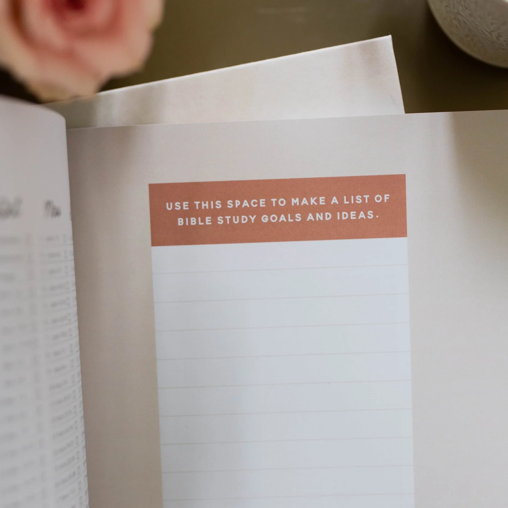 Growing in Grace | Spiritual Disciplines Study - Image 2