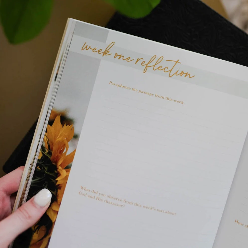 He Leads Me | Psalm 23 Devotional - Image 2