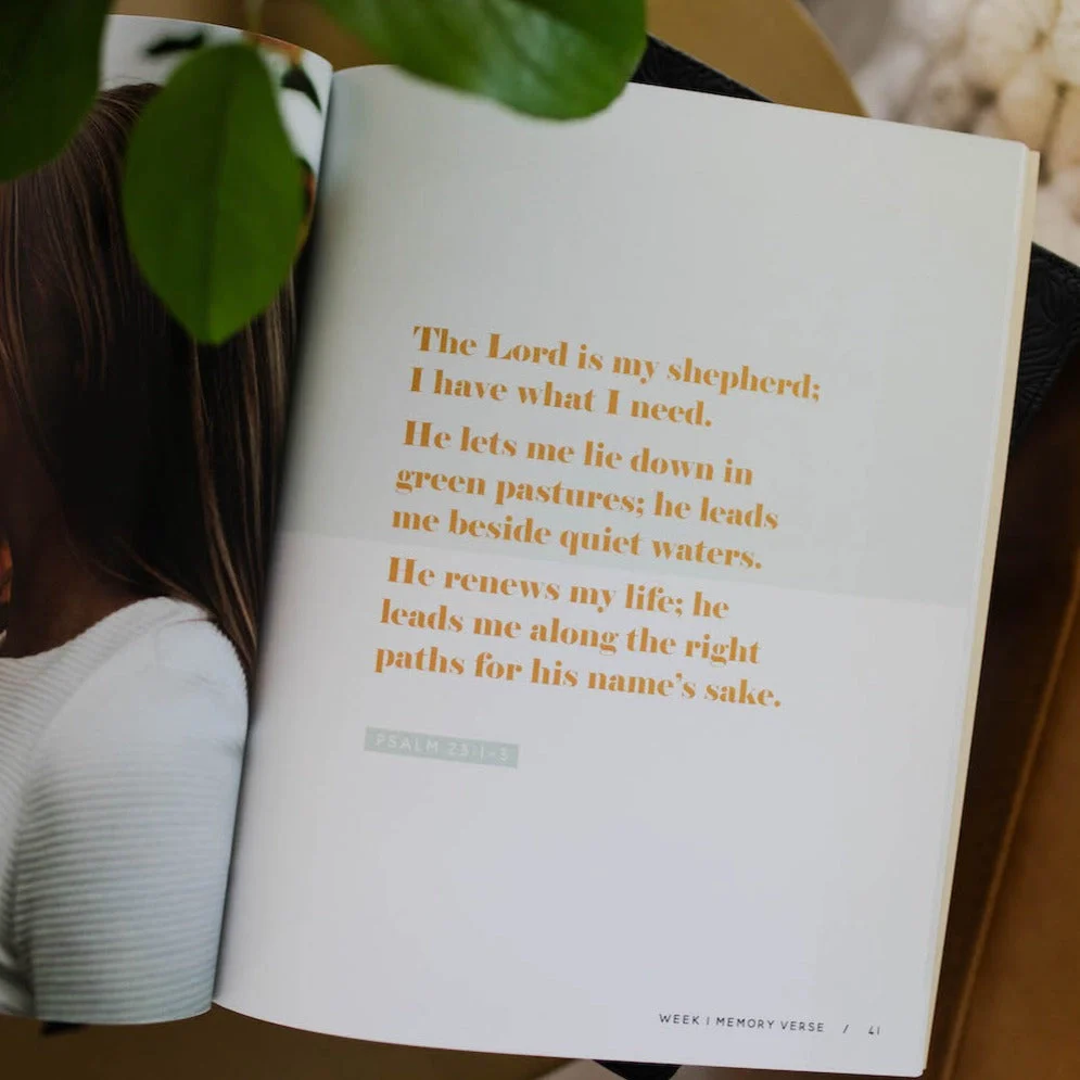 He Leads Me | Psalm 23 Devotional - Image 3