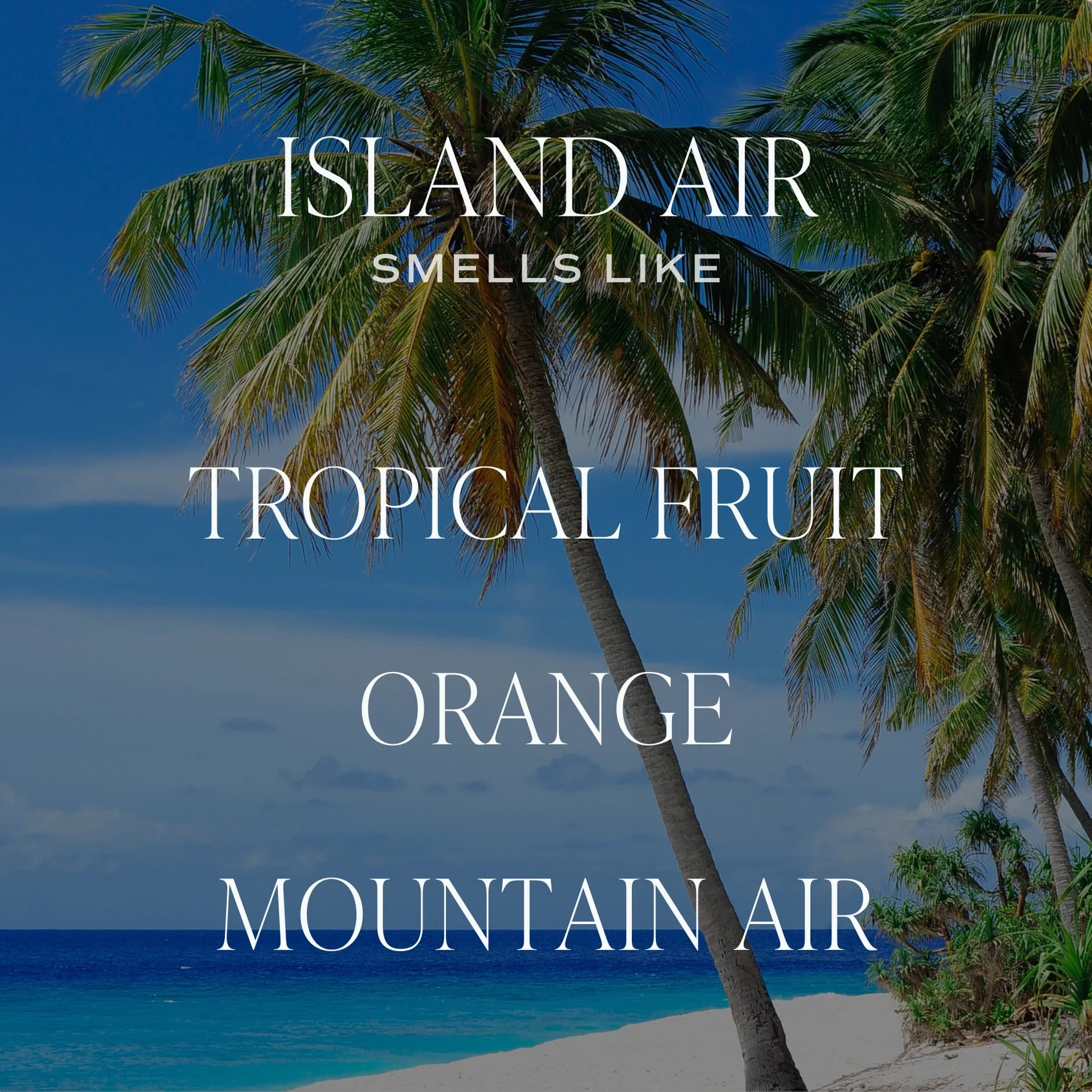 Island Air 12 oz Candle - Image 2
