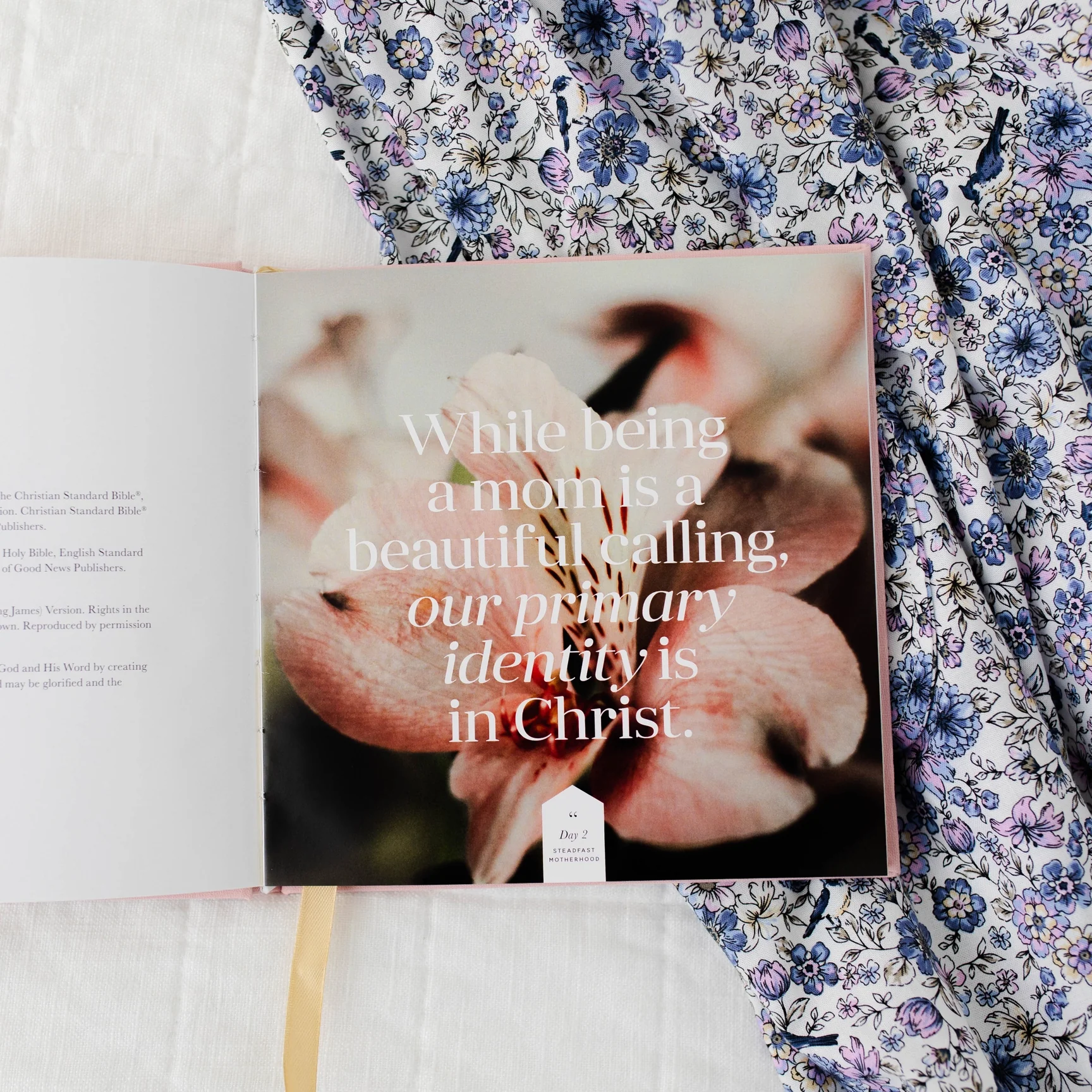 Steadfast Motherhood | 60 Days of Abiding in Christ - Image 6