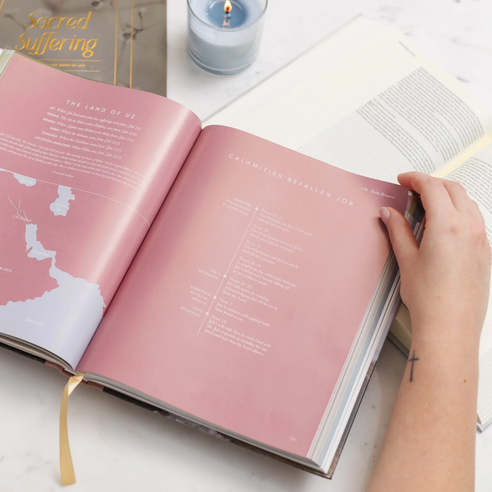 The Bible Handbook: A Book-By-Book Guide To the Entire Bible - Image 5