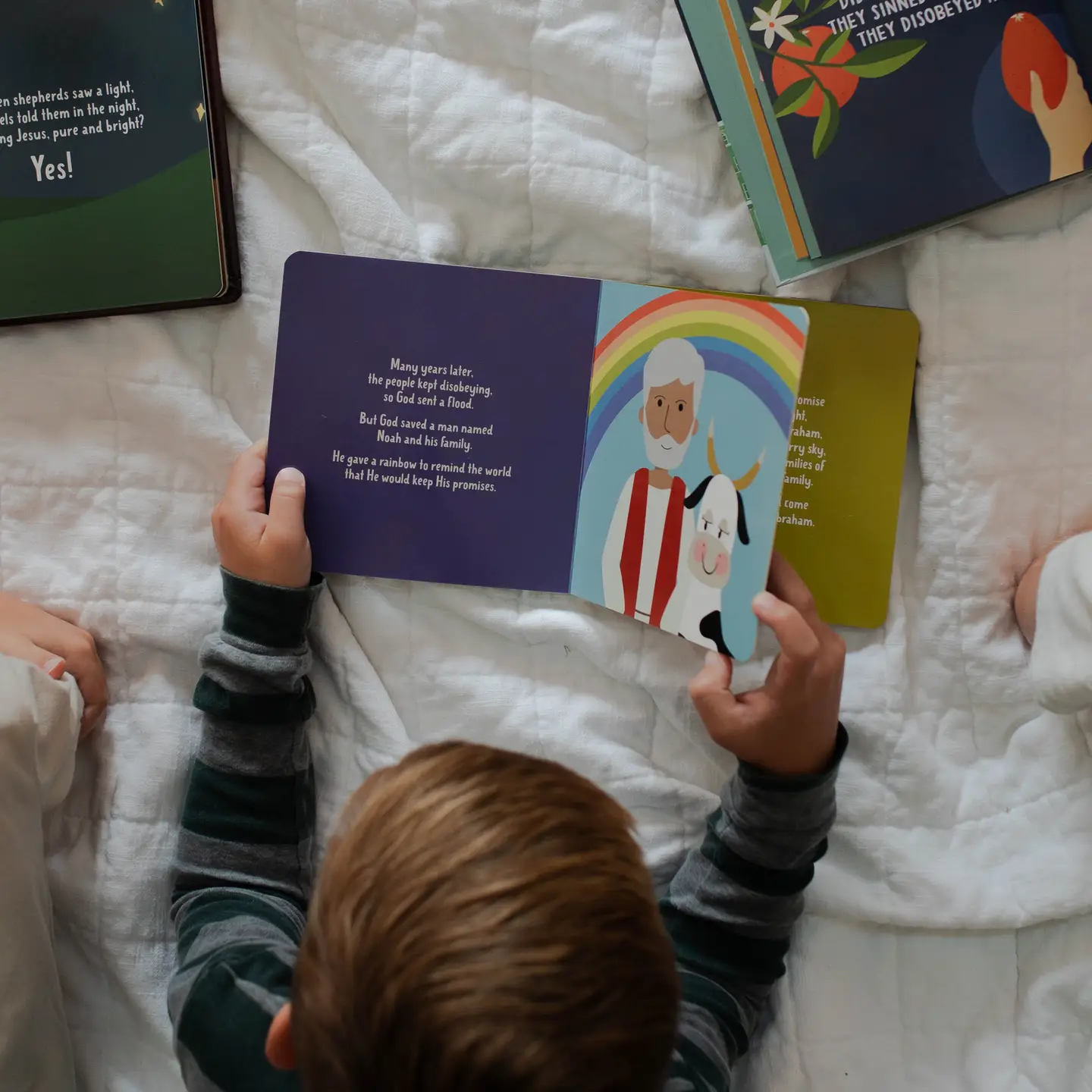 The Promised One Board Book - Image 2