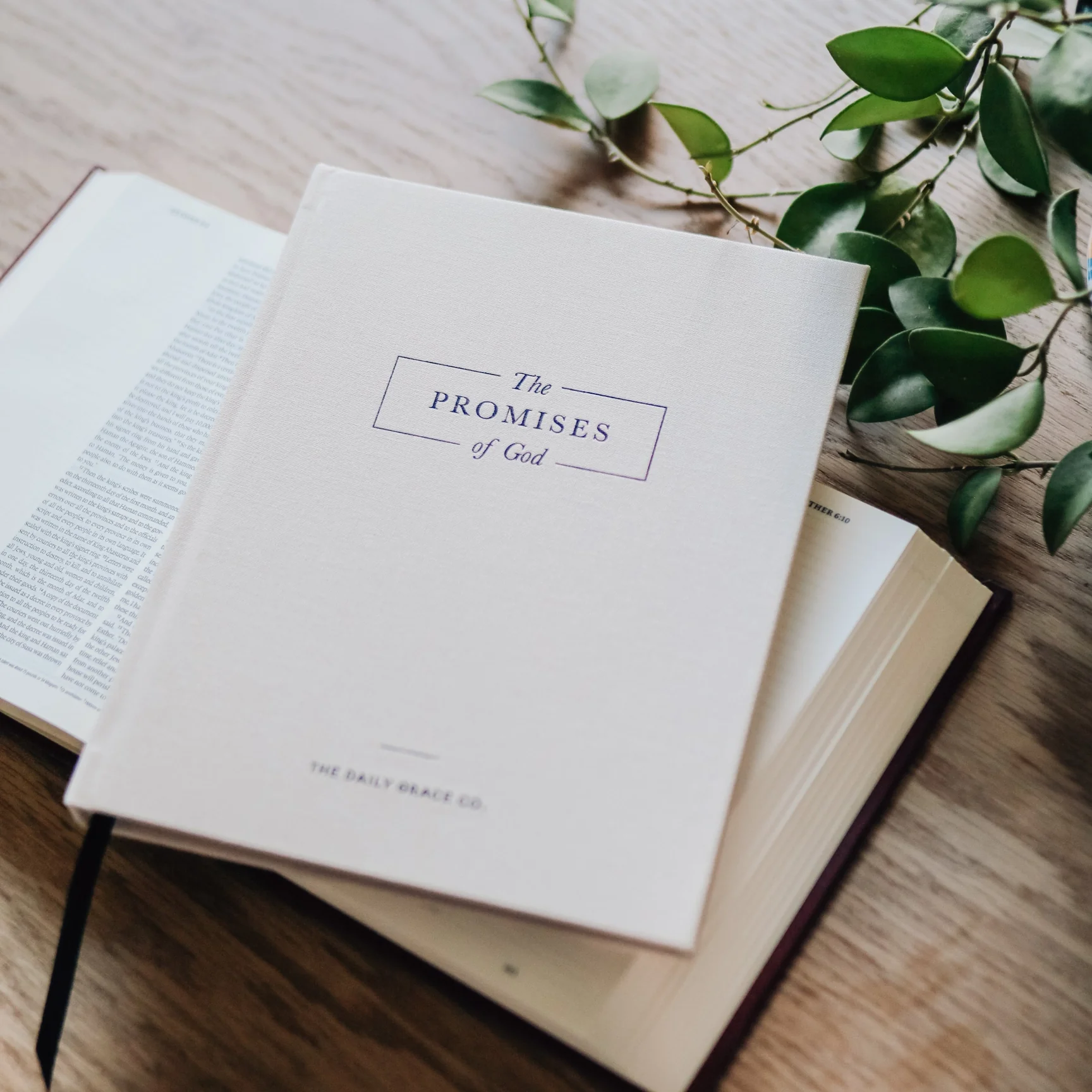 The Promises of God | Coffee Table Book - Image 4
