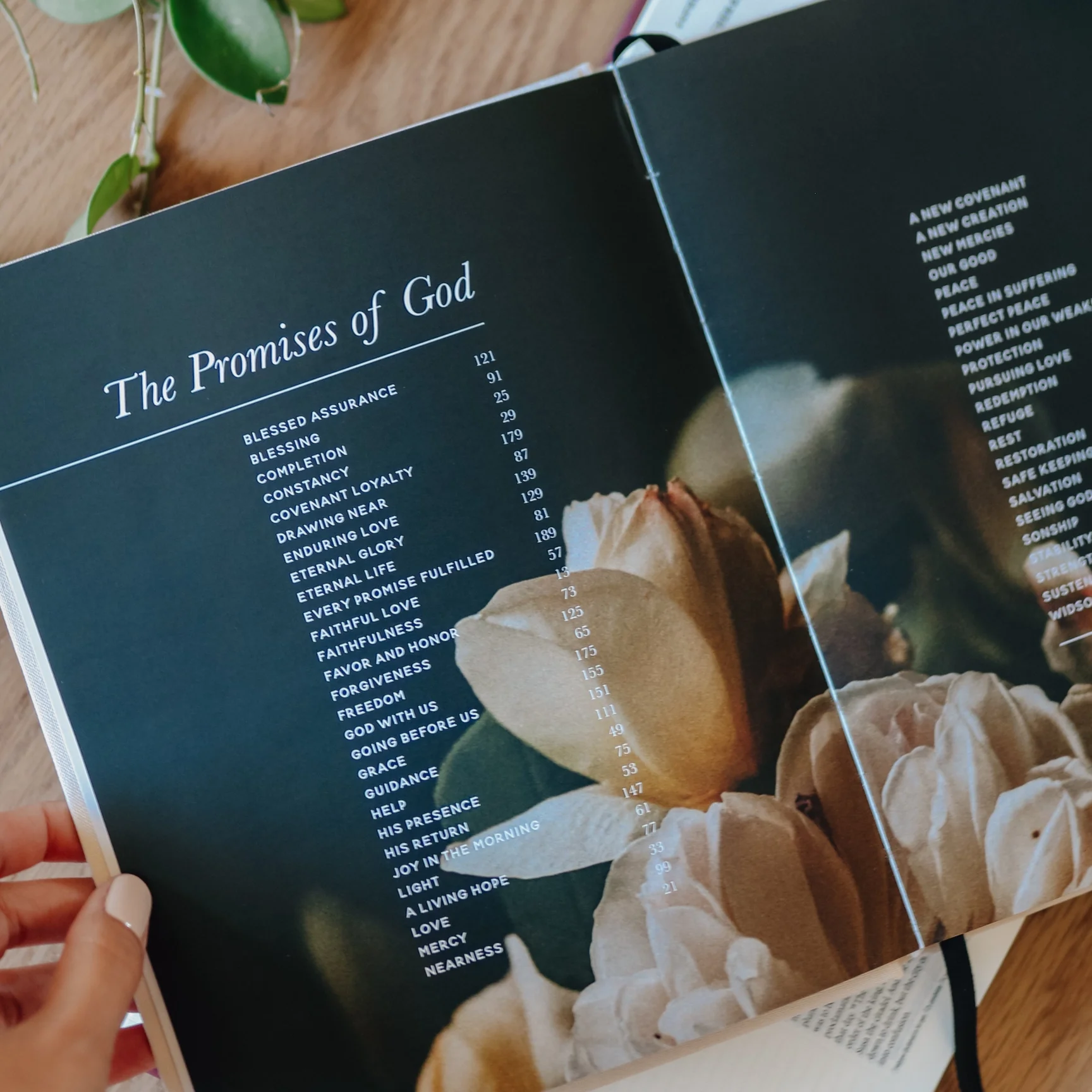 The Promises of God | Coffee Table Book - Image 6