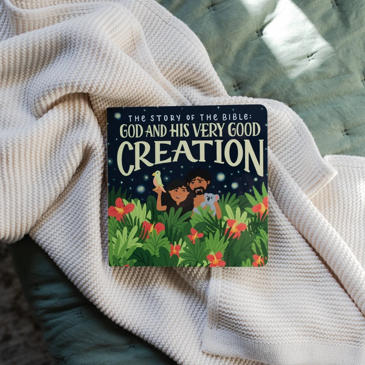 The Story of the Bible: God and His Very Good Creation